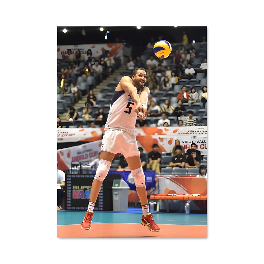 Poster La Reine du Volley